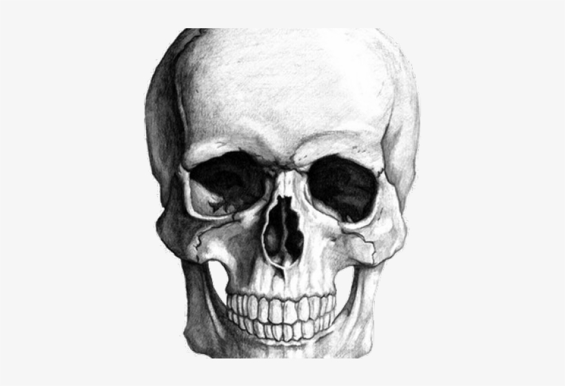 Detail Skull Transparent Background Nomer 37