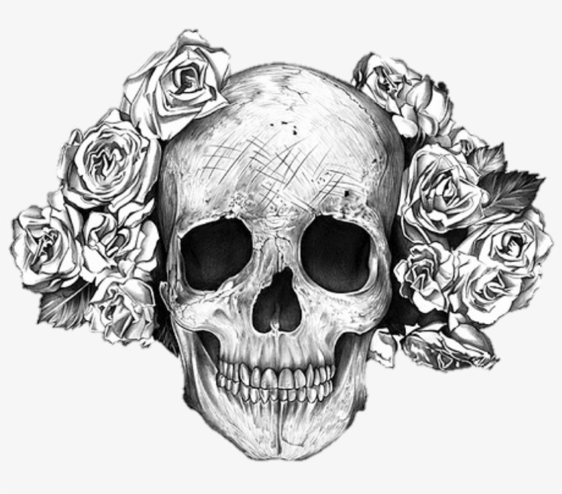 Detail Skull Transparent Background Nomer 42