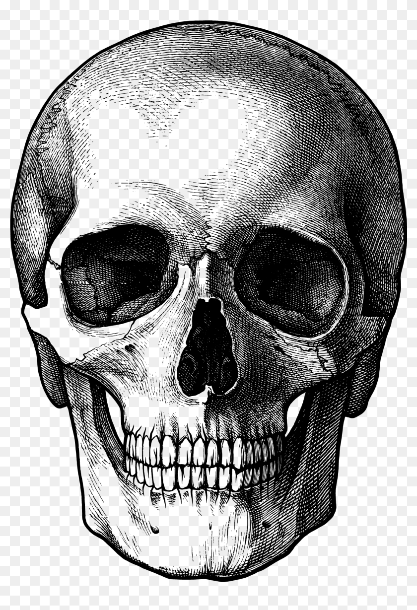 Detail Skull Transparent Background Nomer 7