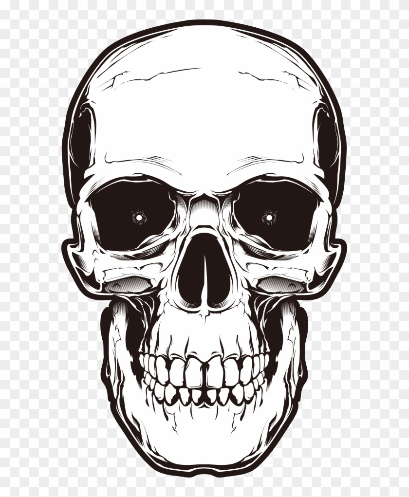 Detail Skull Transparent Png Nomer 19