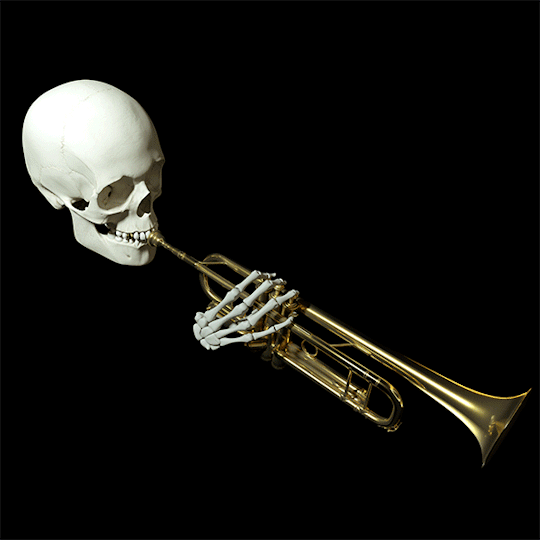 Detail Skull Trumpet Transparent Nomer 32