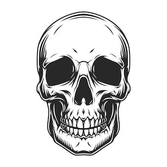 Skull Vector Hd - KibrisPDR