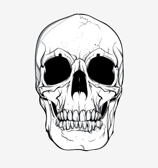 Detail Skull Vector Hd Nomer 16