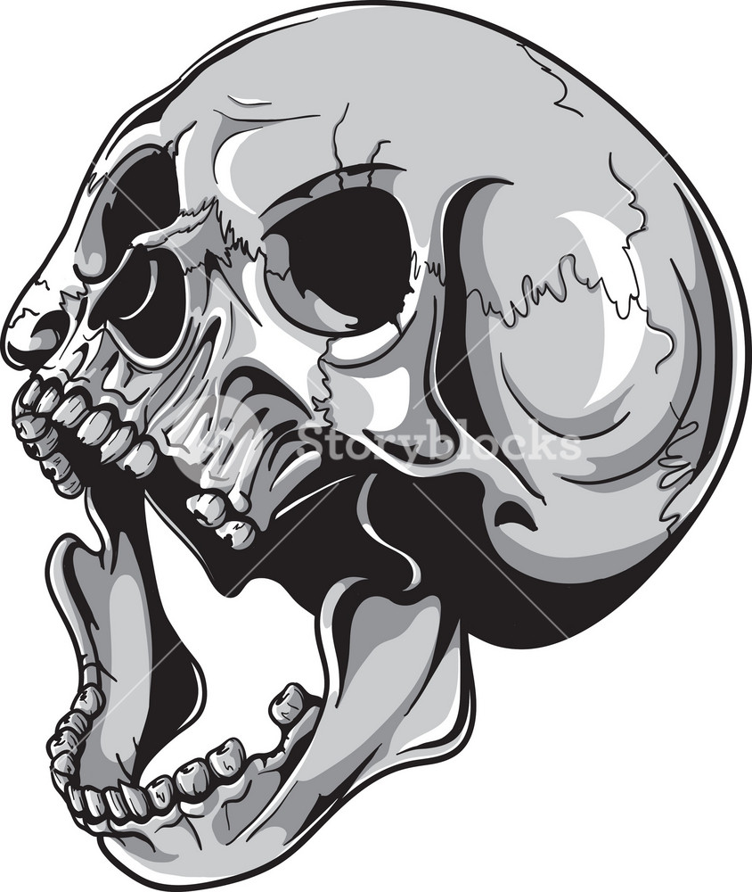 Detail Skull Vector Hd Nomer 20