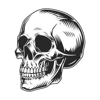 Detail Skull Vector Hd Nomer 3