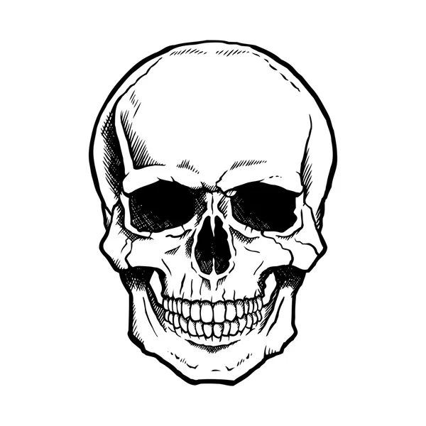 Detail Skull Vector Hd Nomer 22