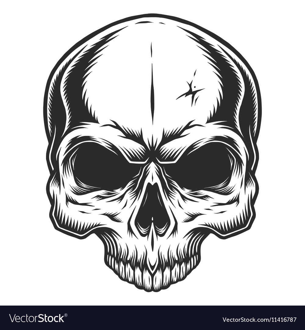 Detail Skull Vector Hd Nomer 4