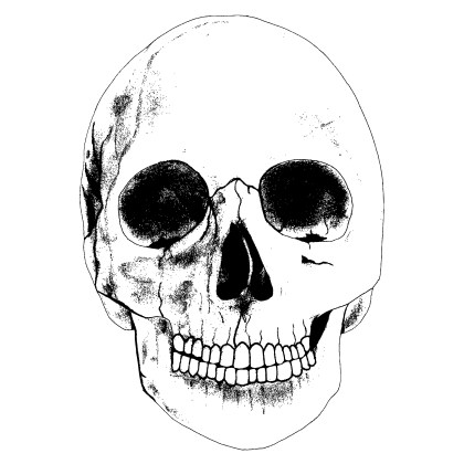 Detail Skull Vector Hd Nomer 46