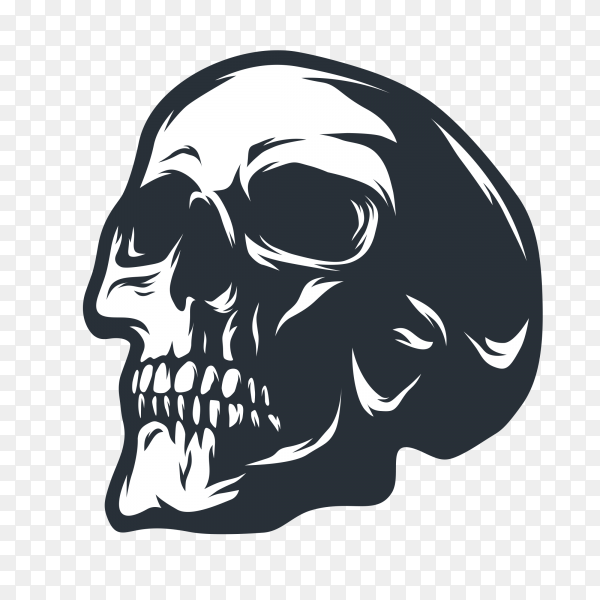 Skull Vector Png - KibrisPDR