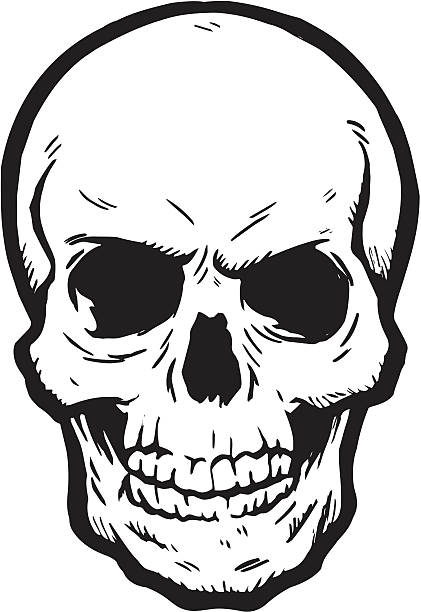 Detail Skull Vector Png Nomer 20