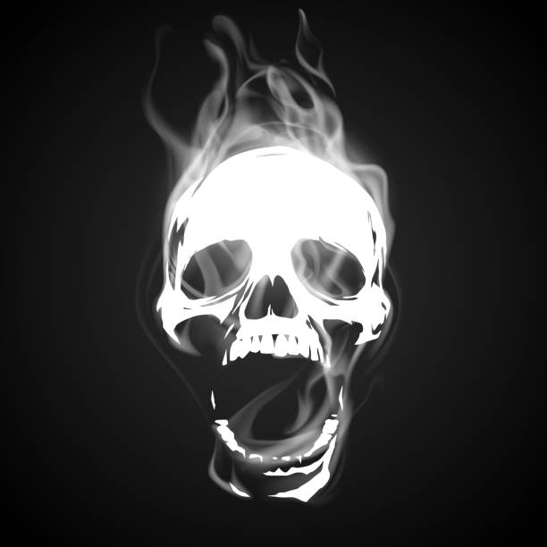 Detail Skull Vector Png Nomer 43