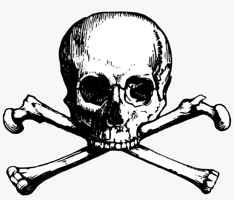 Detail Skull Vector Png Nomer 53