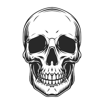 Detail Skull Vector Png Nomer 7