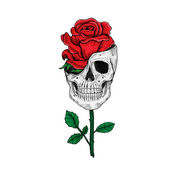 Detail Skull With Roses Clipart Nomer 36