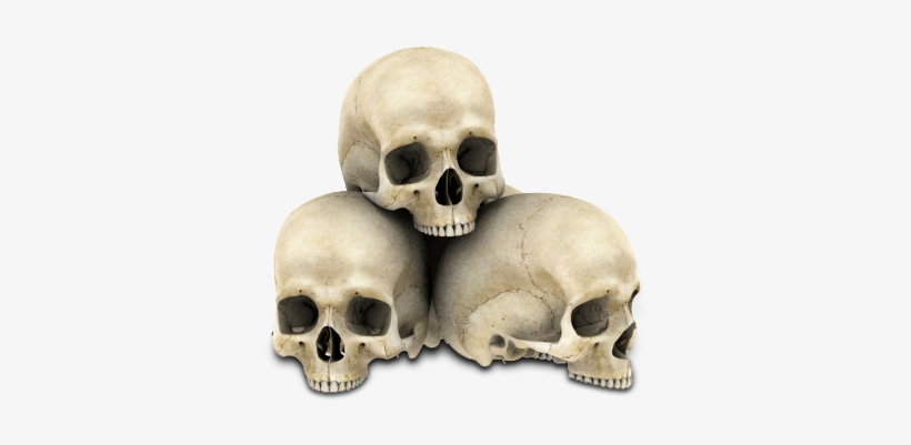 Skulls Transparent - KibrisPDR