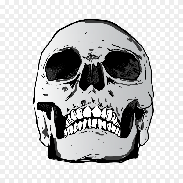 Detail Skulls Transparent Nomer 8