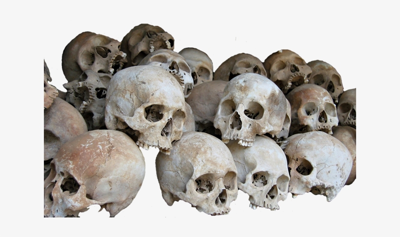 Detail Skulls Transparent Nomer 4