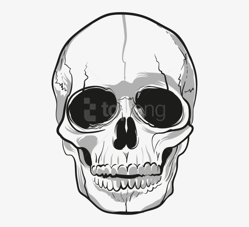 Detail Skulls Transparent Background Nomer 16