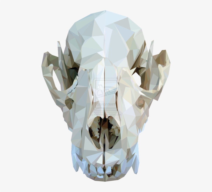 Detail Skulls Transparent Background Nomer 46