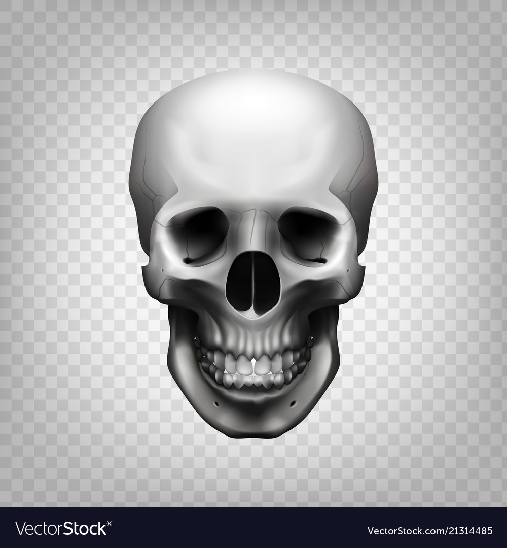 Detail Skulls Transparent Background Nomer 7