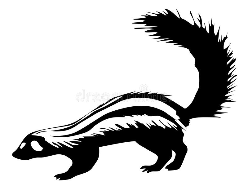 Detail Skunk Clipart Black And White Nomer 9