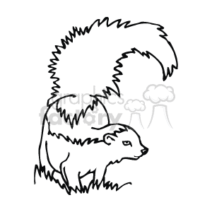 Detail Skunk Clipart Black And White Nomer 17