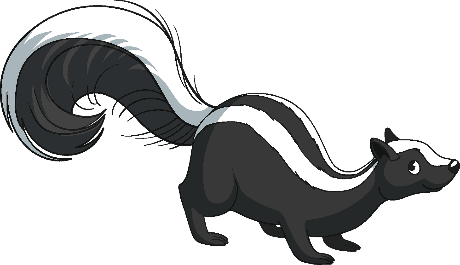 Detail Skunk Clipart Black And White Nomer 20