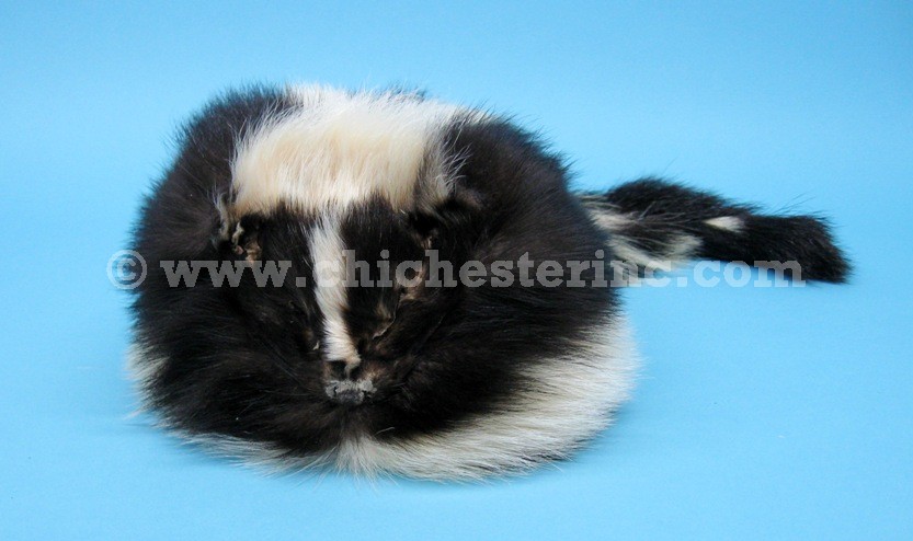 Detail Skunk Fur Hat Nomer 43