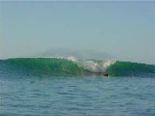 Detail Skunk Point Surfing Nomer 34