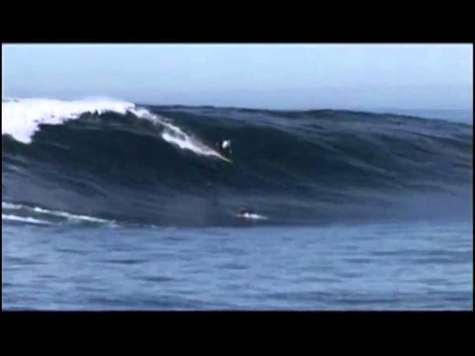 Detail Skunk Point Surfing Nomer 5