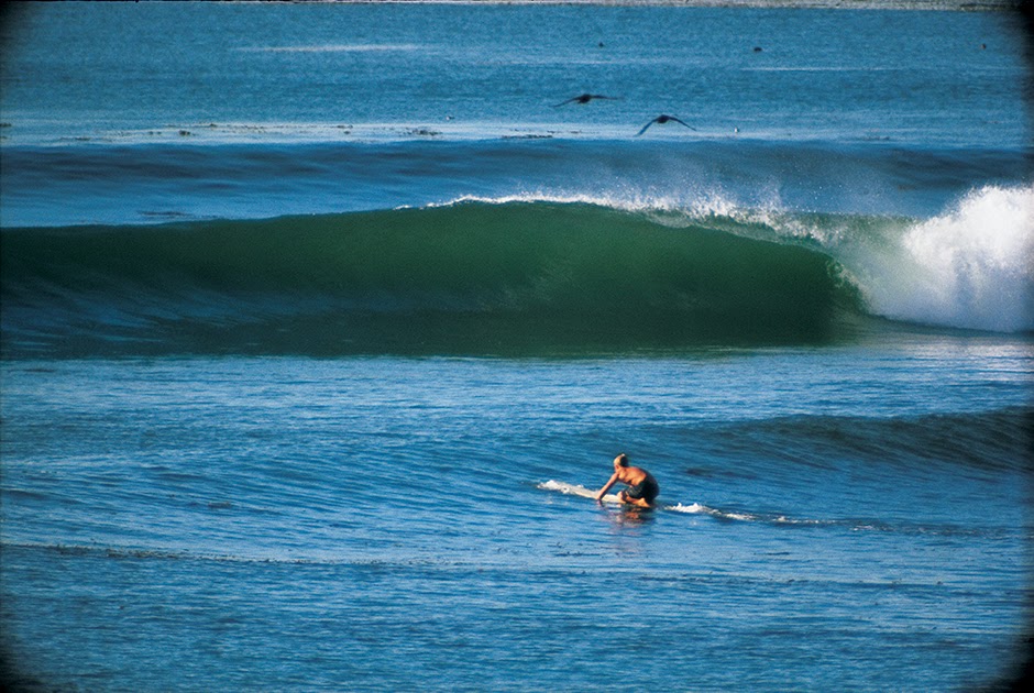 Detail Skunk Point Surfing Nomer 44