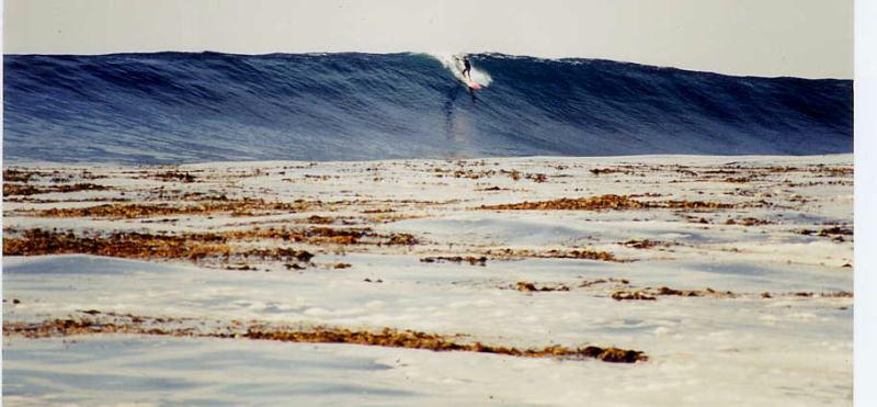 Detail Skunk Point Surfing Nomer 46