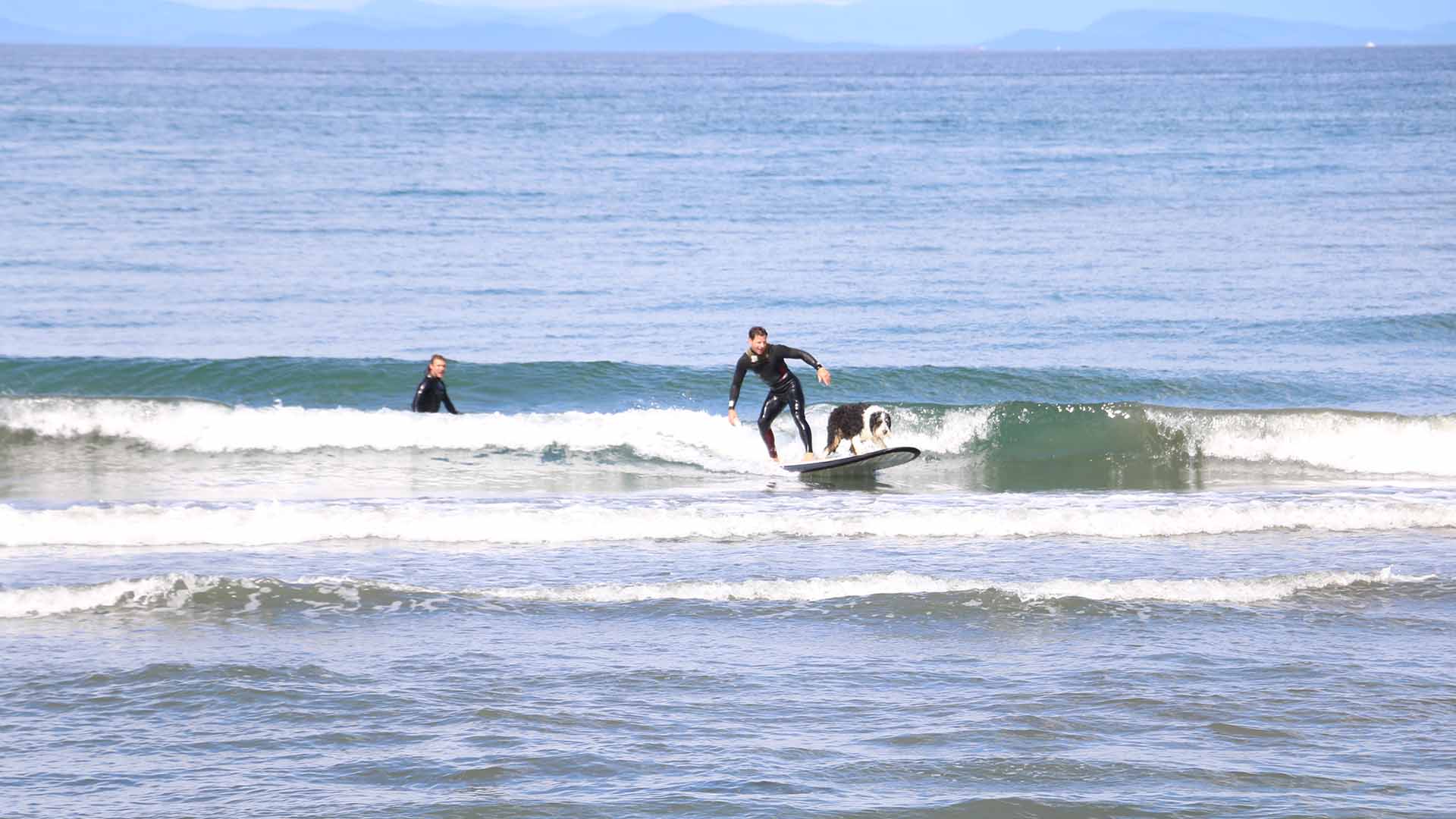 Detail Skunk Point Surfing Nomer 50