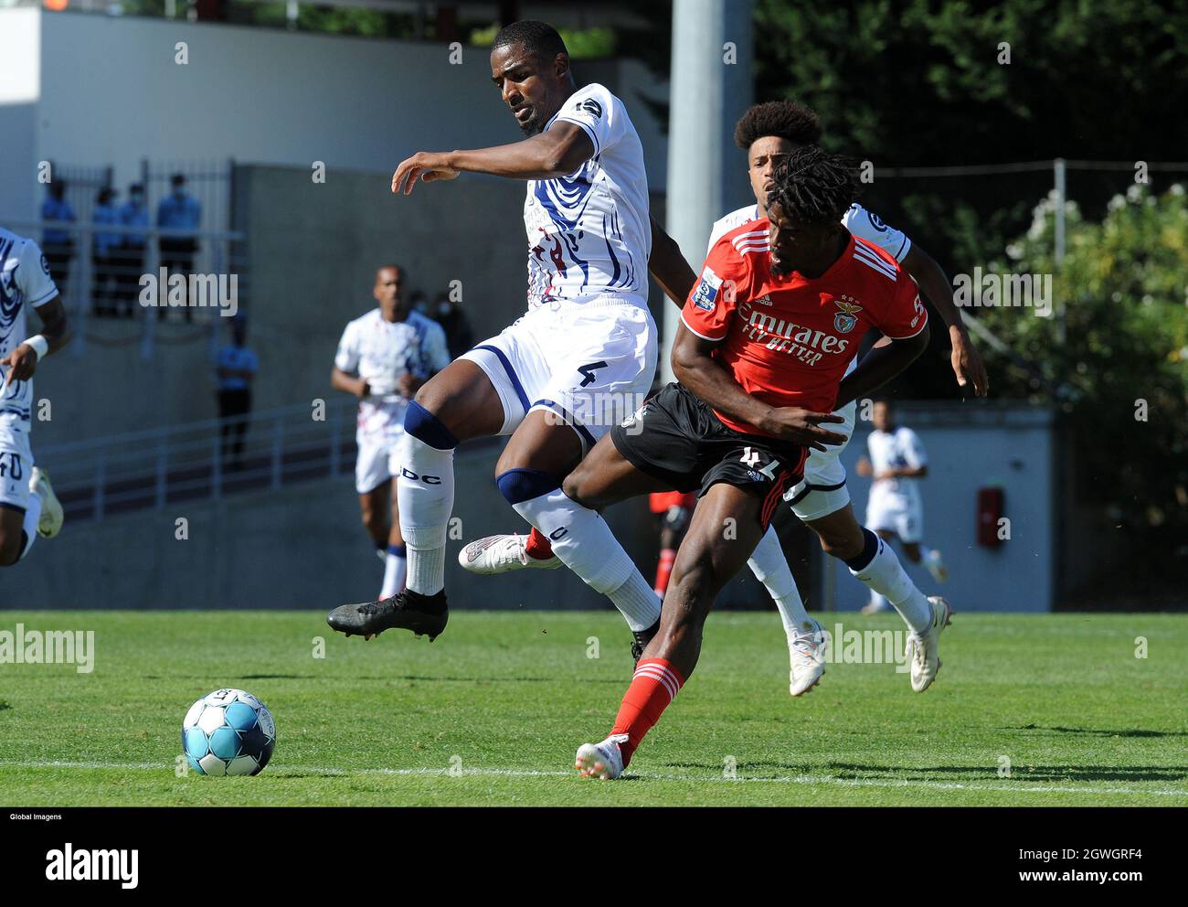 Detail Sl Benfica B Nomer 29