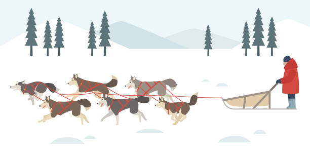 Detail Sled Dog Clipart Nomer 4