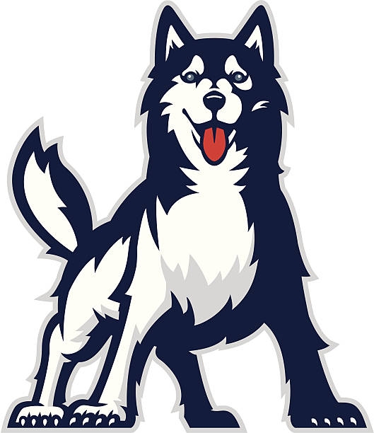 Detail Sled Dog Clipart Nomer 34