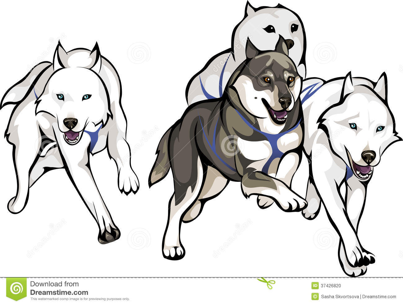 Detail Sled Dogs Clipart Nomer 35