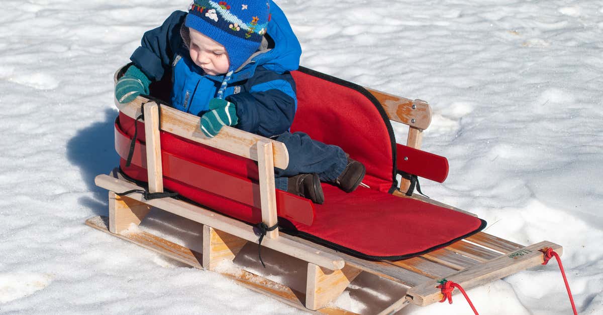 Detail Sled Images Nomer 6