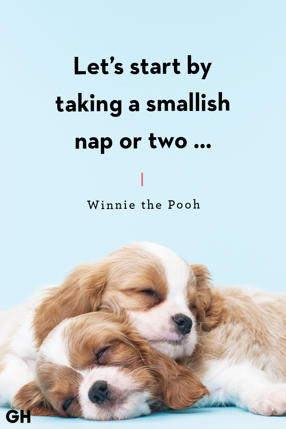 Detail Sleeping Dog Quotes Nomer 7