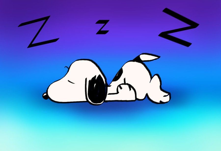 Detail Sleepy Snoopy Nomer 2