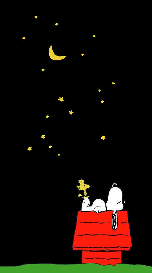 Detail Sleepy Snoopy Nomer 12