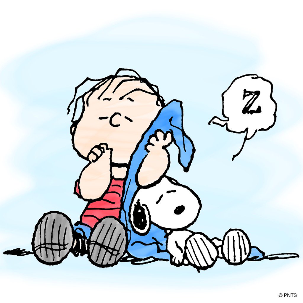 Detail Sleepy Snoopy Nomer 16