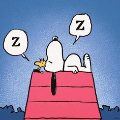 Detail Sleepy Snoopy Nomer 3