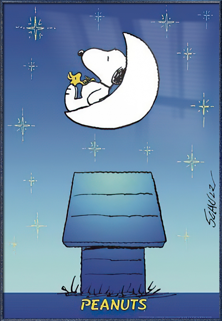 Detail Sleepy Snoopy Nomer 25