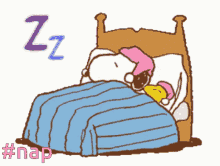Detail Sleepy Snoopy Nomer 27