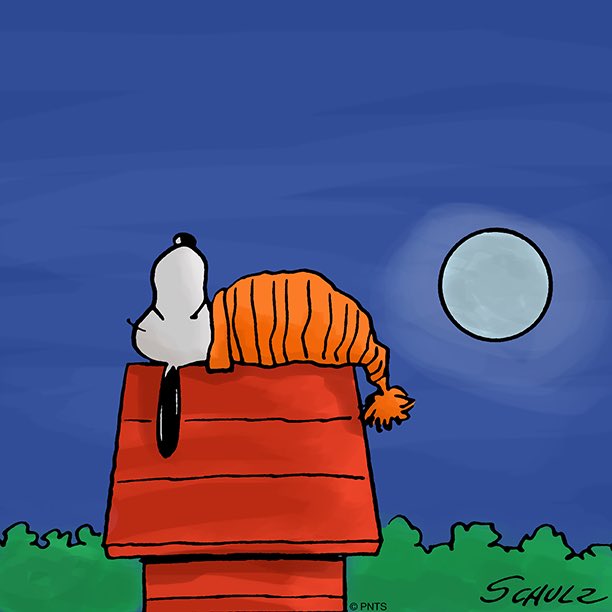 Detail Sleepy Snoopy Nomer 32