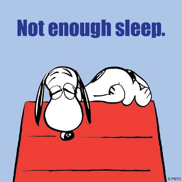 Detail Sleepy Snoopy Nomer 5