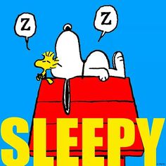 Detail Sleepy Snoopy Nomer 6