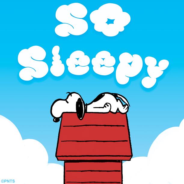 Detail Sleepy Snoopy Nomer 50