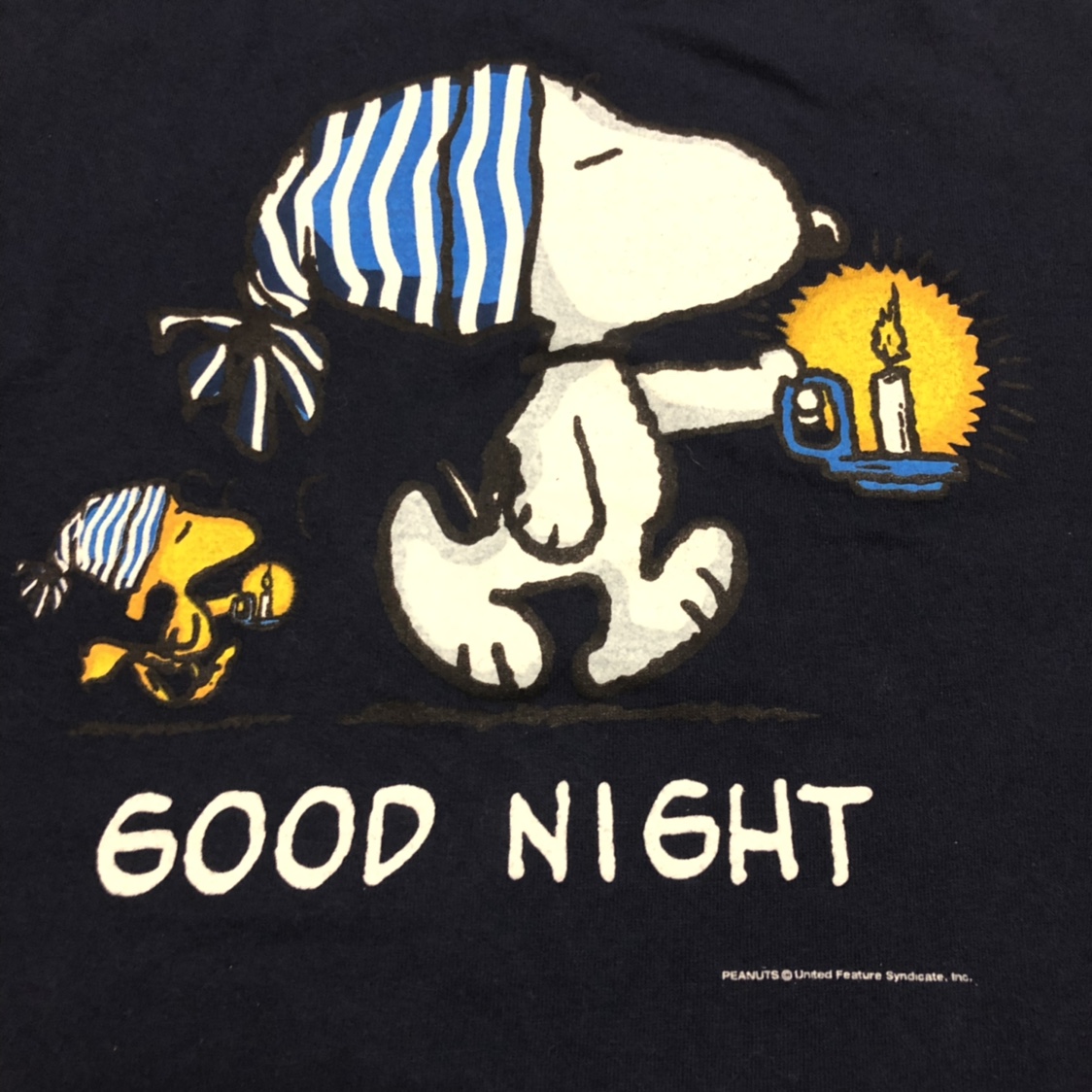 Detail Sleepy Snoopy Nomer 51